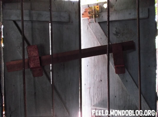 case en t&ocirc;le Madagascar &copy;feeld