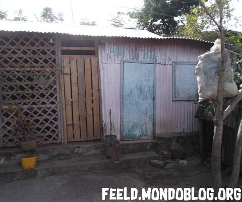 case en t&ocirc;le madagascar &copy;feeld