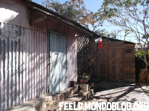 Article : Epid&eacute;mie de peste pulmonaire &agrave; Madagascar : m&ecirc;me pas peur !